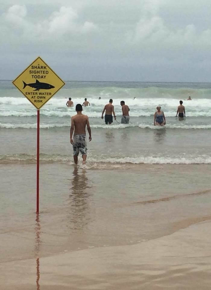 Just Another Day At The Beach In Australia