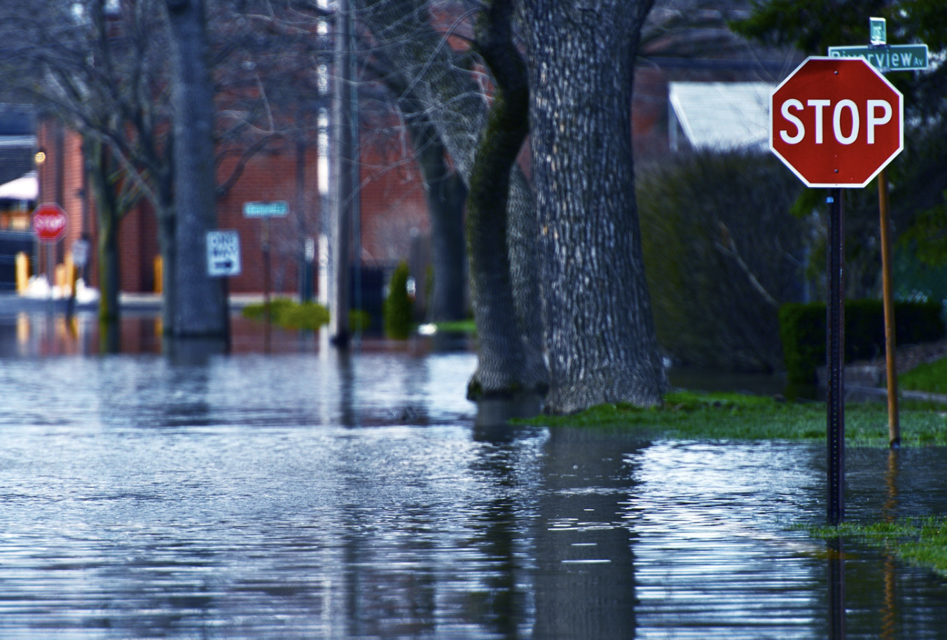 Rising Death Toll in Central Europe: Catastrophic Floods Sweep Across Czech Republic, Poland, and Austria